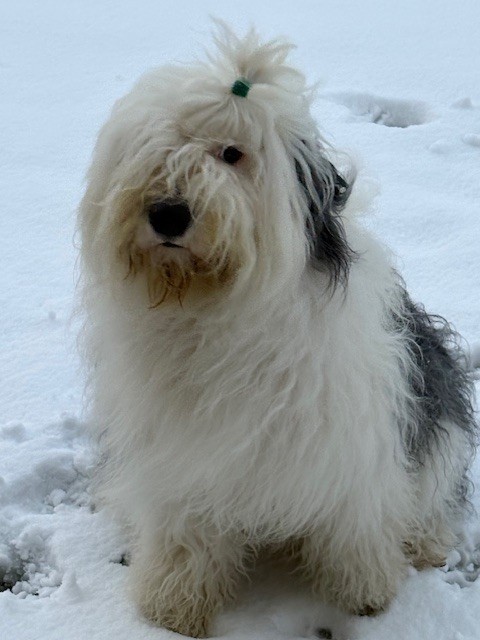 Twist again of Mary People